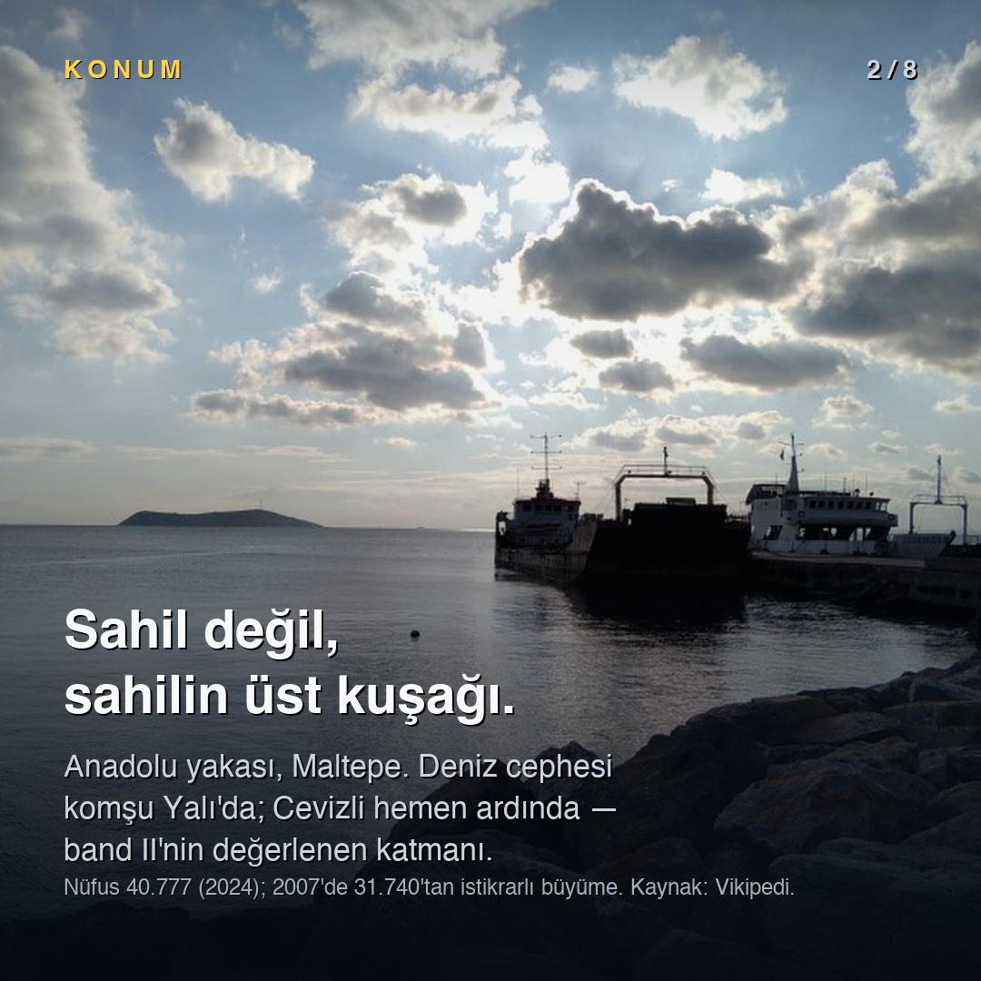 Konum: sahilin üst kuşağı